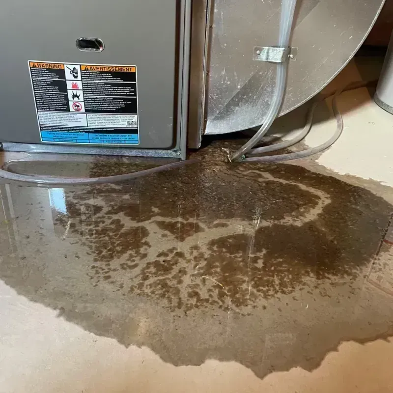 Appliance Leak Cleanup in Osage Beach, MO